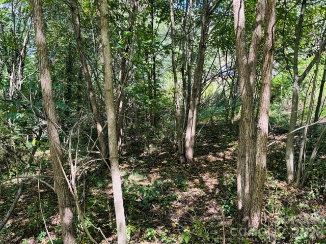 Lot at TBD Hi Alta Avenue, Asheville, photo 34 of 39