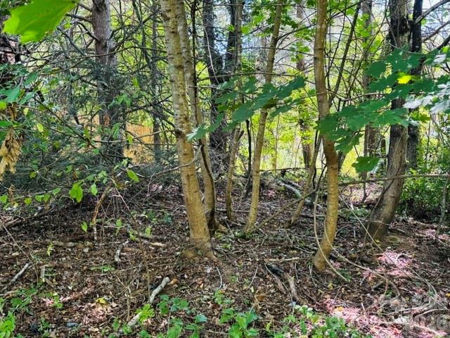 Lot at TBD Hi Alta Avenue, Asheville, photo 36 of 39