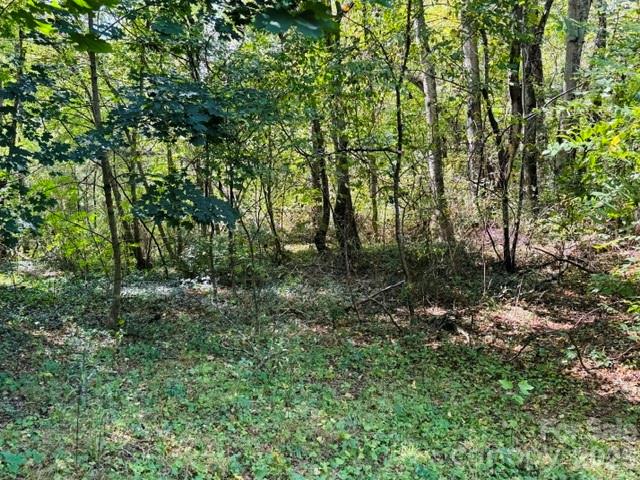 Lot at TBD Hi Alta Avenue, Asheville, photo 38 of 39