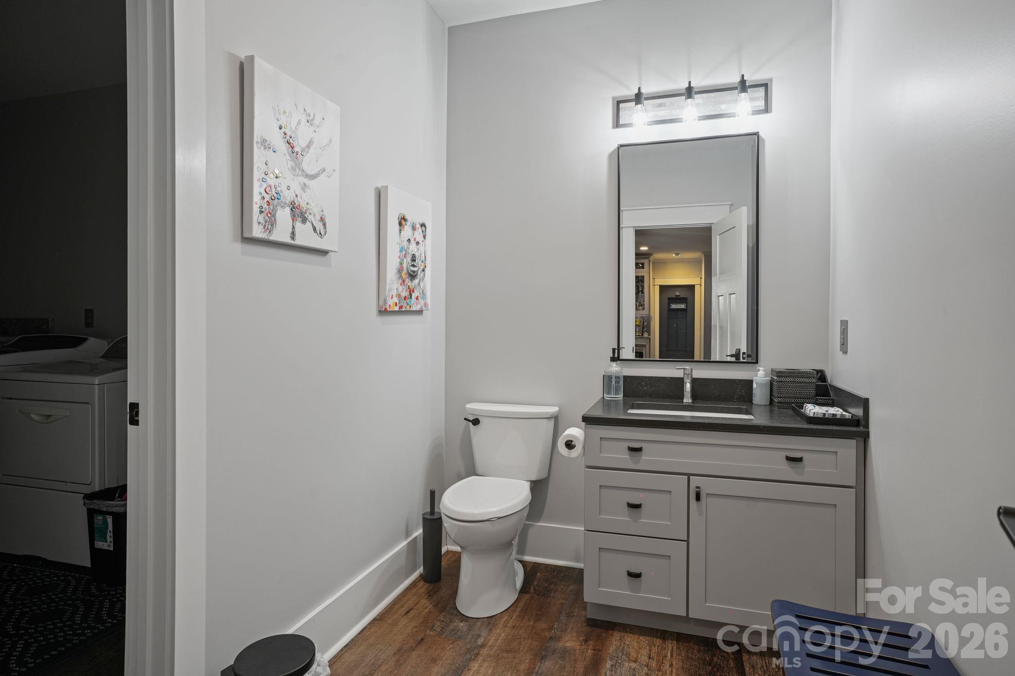 Pool Bath/ Basement Powder Room - 4686 Miller Bridge Road, Connelly Springs