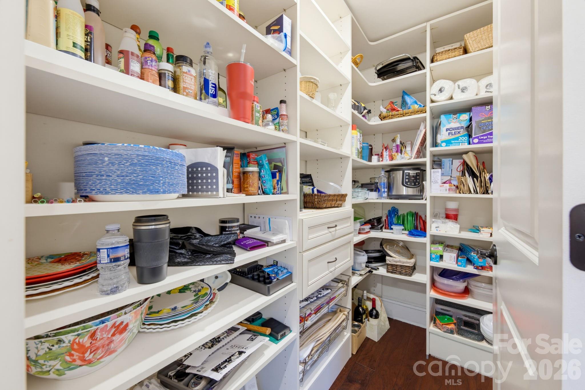 Custom kitchen pantry - 270 S San Agustin Drive, Mooresville