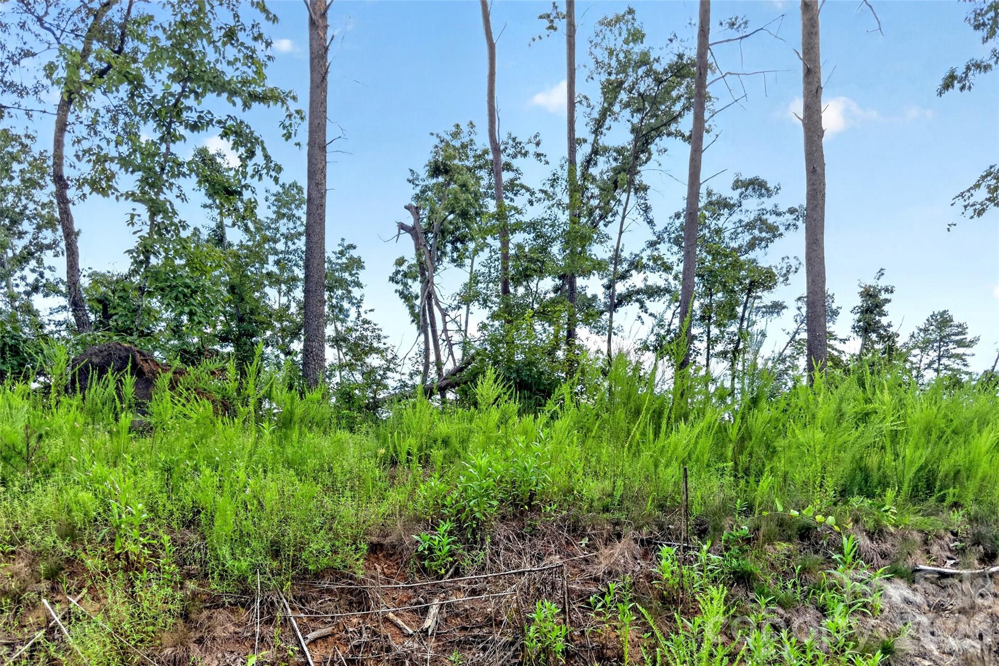 Acreage at TBD Boland Drive, Lake Lure, photo 4 of 30