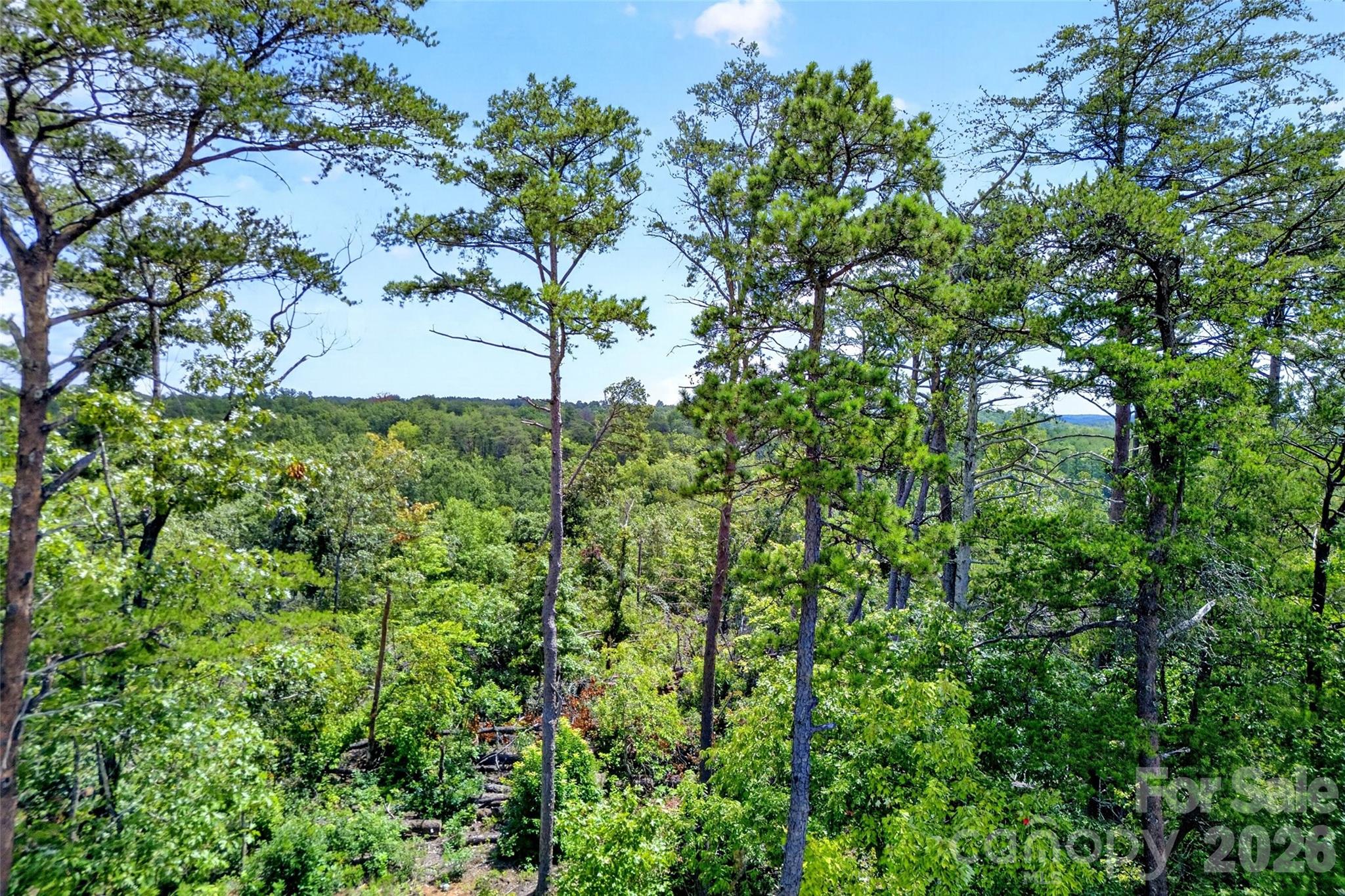 Acreage at TBD Boland Drive, Lake Lure, photo 5 of 30