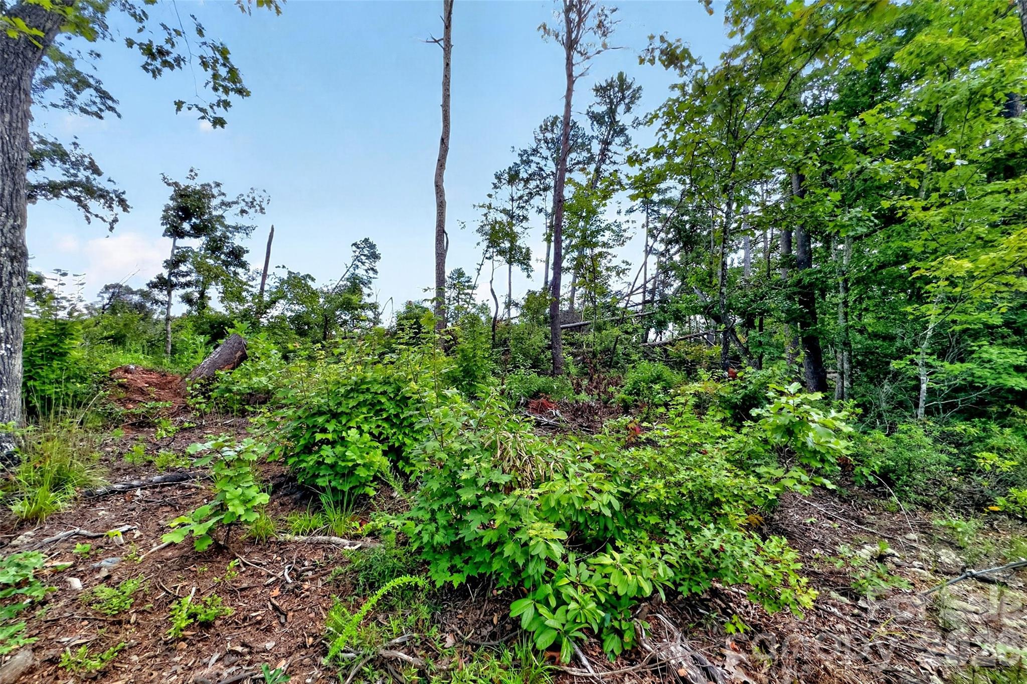 Acreage at TBD Boland Drive, Lake Lure, photo 20 of 30