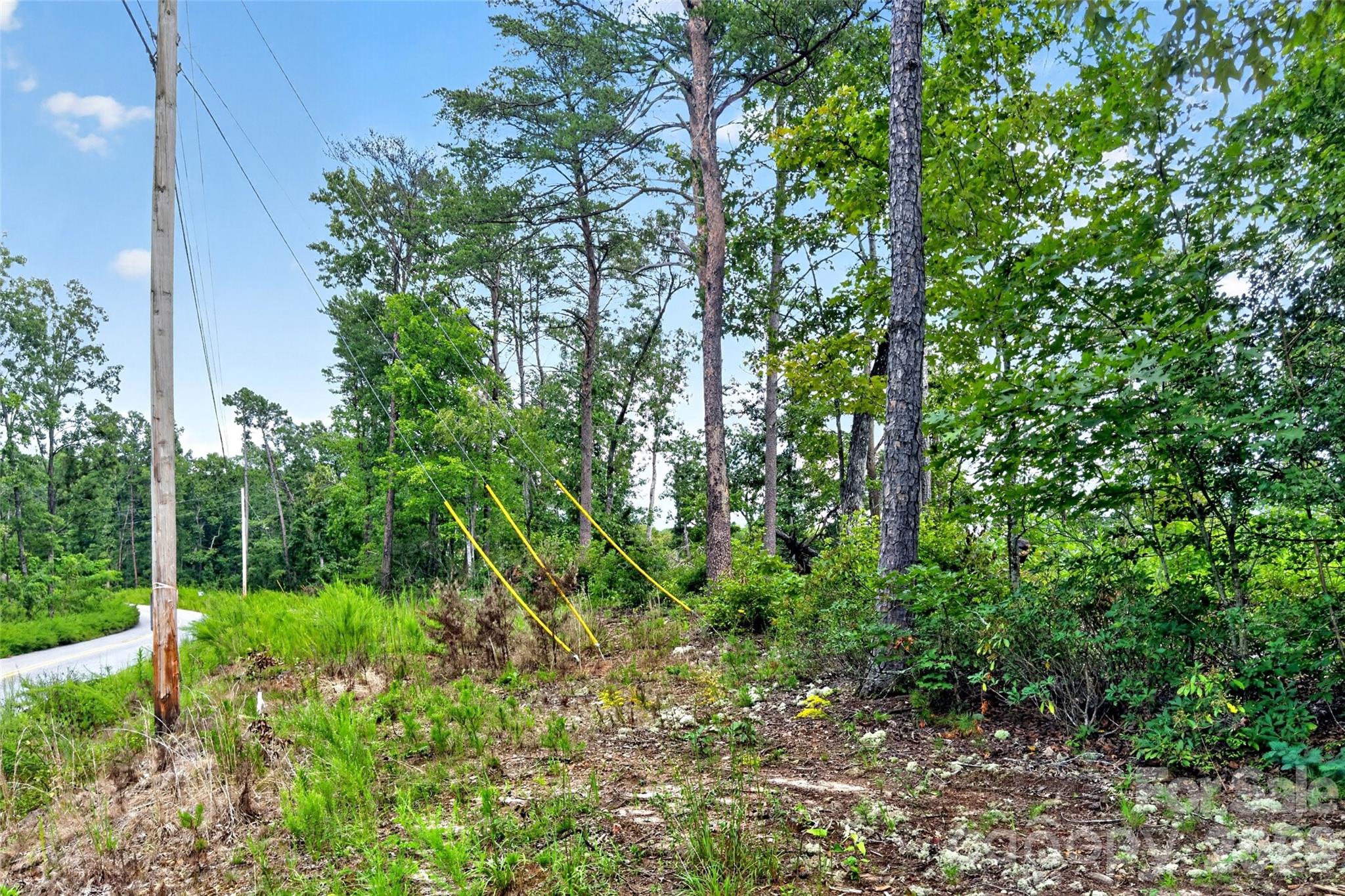Acreage at TBD Boland Drive, Lake Lure, photo 23 of 30