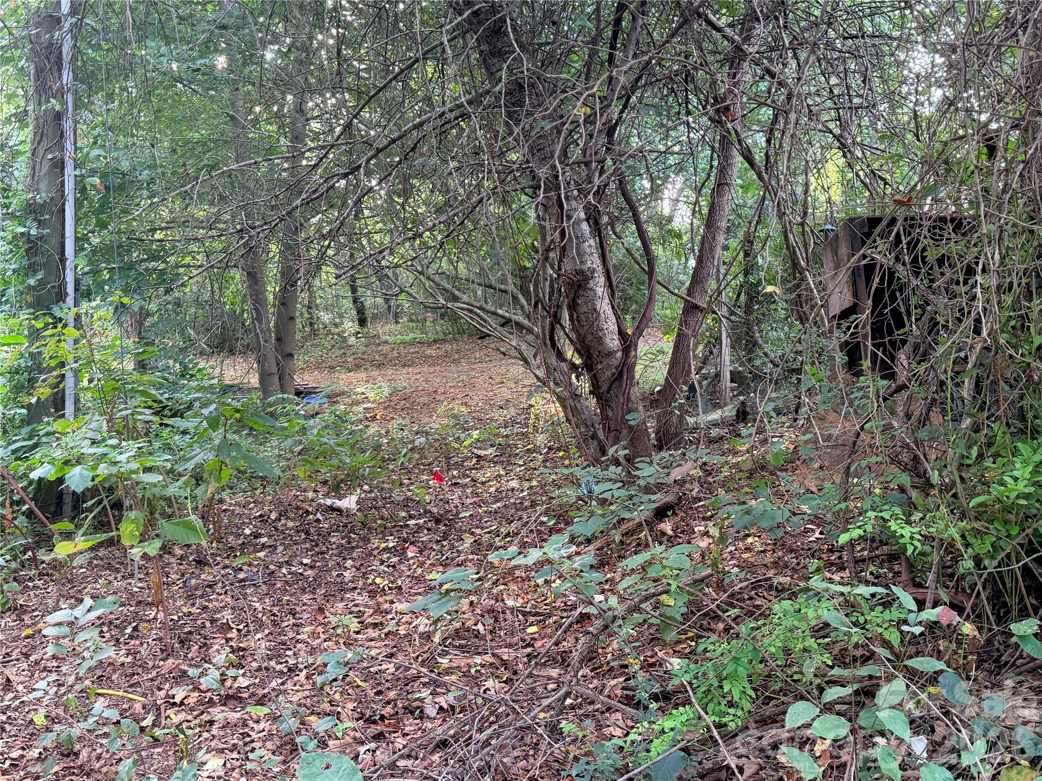 Lot at 173 & 175 Dix Creek Chapel Road, Asheville, photo 3 of 14