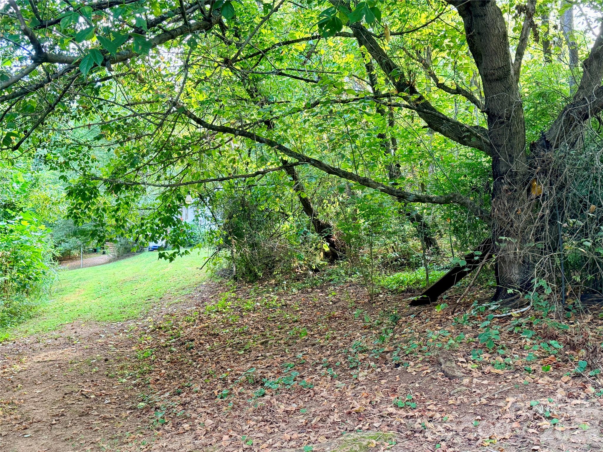 Lot at 173 & 175 Dix Creek Chapel Road, Asheville, photo 5 of 14