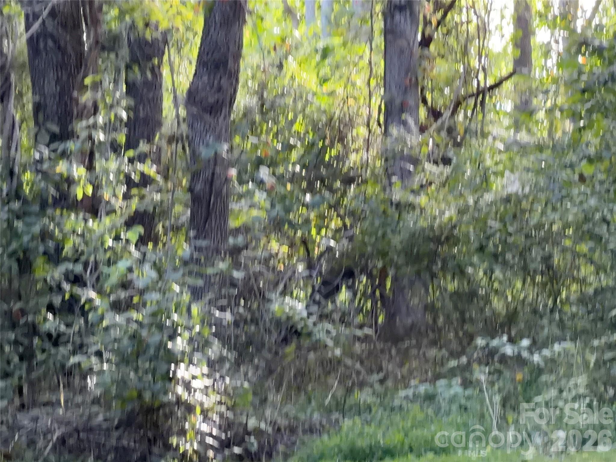 Lot at 173 & 175 Dix Creek Chapel Road, Asheville, photo 8 of 14