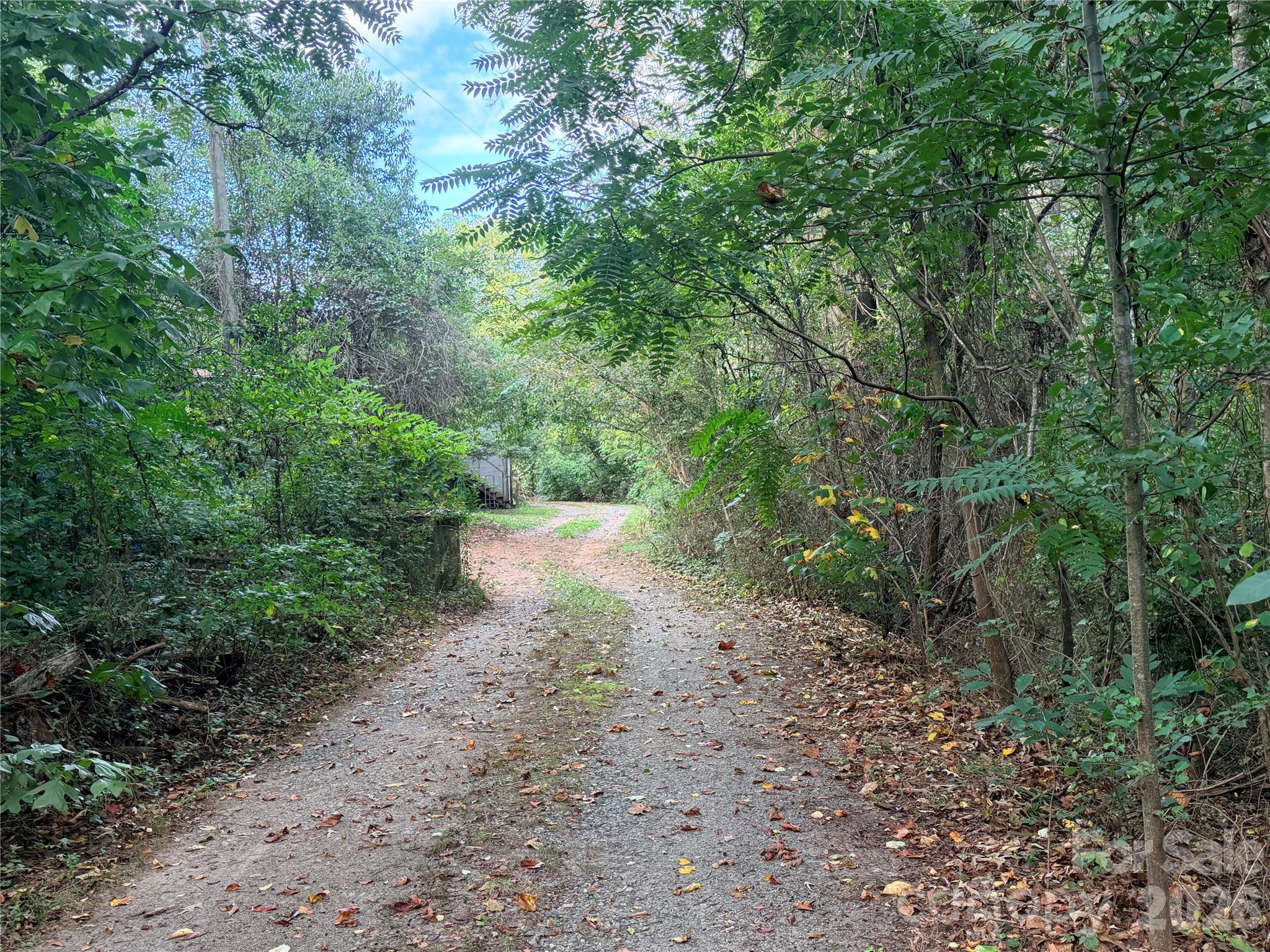 Lot at 173 & 175 Dix Creek Chapel Road, Asheville, photo 10 of 14