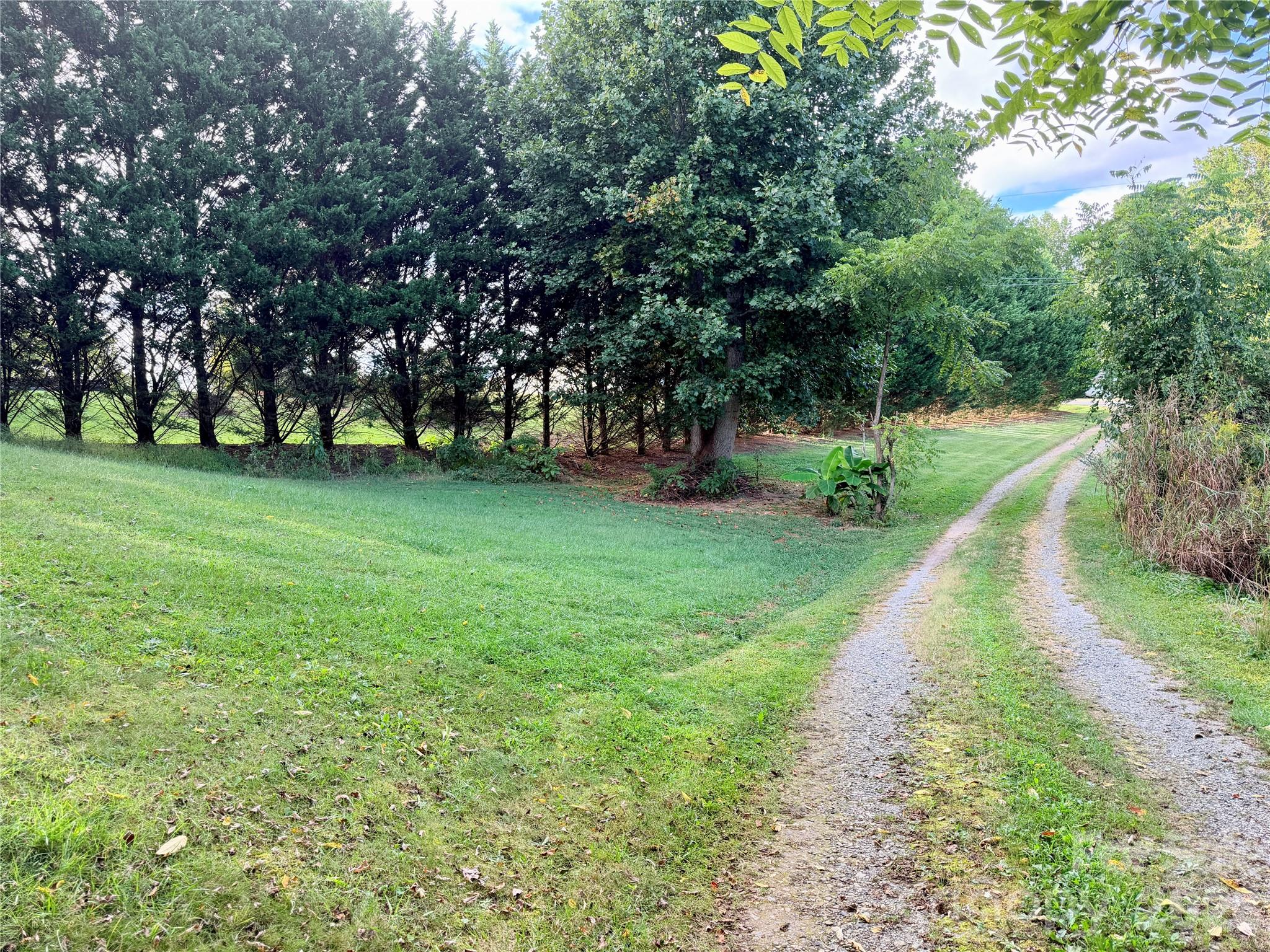 Lot at 173 & 175 Dix Creek Chapel Road, Asheville, photo 13 of 14