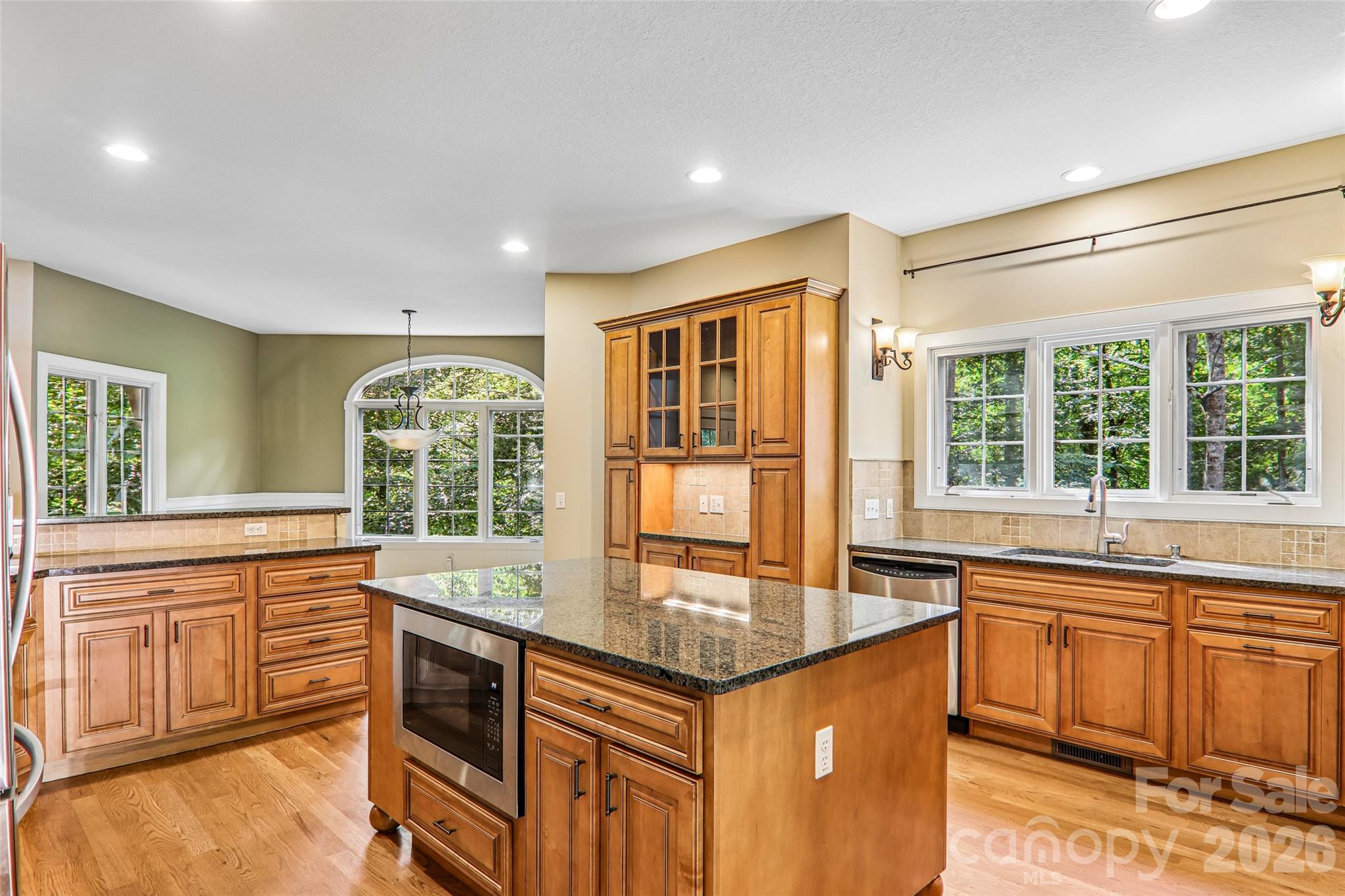 Single Family Residence at 361 Mills River Way, Horse Shoe, photo 10 of 45