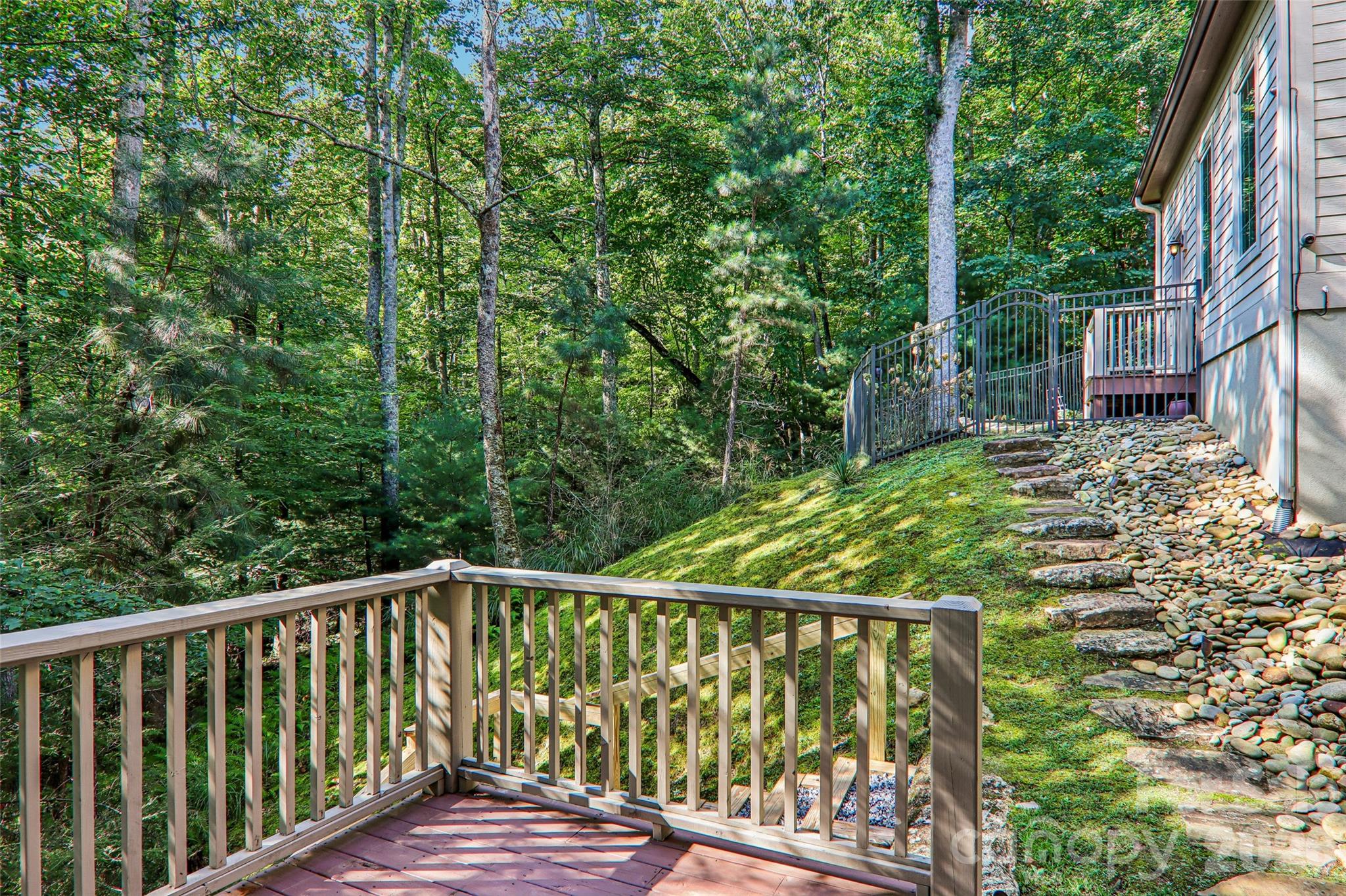 Backyard view - 361 Mills River Way, Horse Shoe