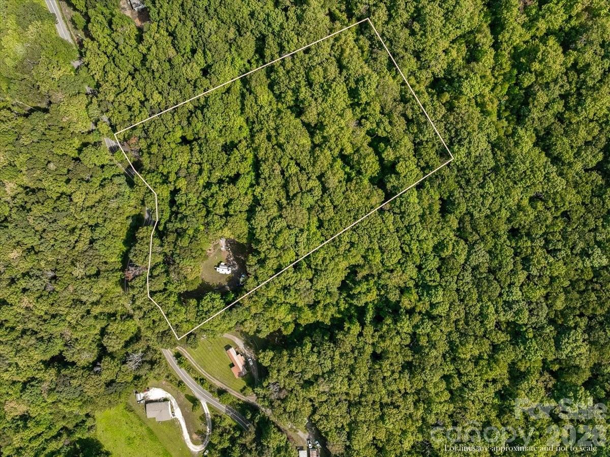 Acreage at 997 Hoot Owl Road, Spruce Pine, photo 3 of 32