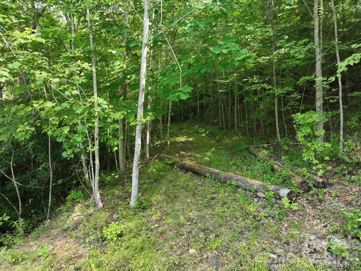 Acreage at 997 Hoot Owl Road, Spruce Pine, photo 26 of 32