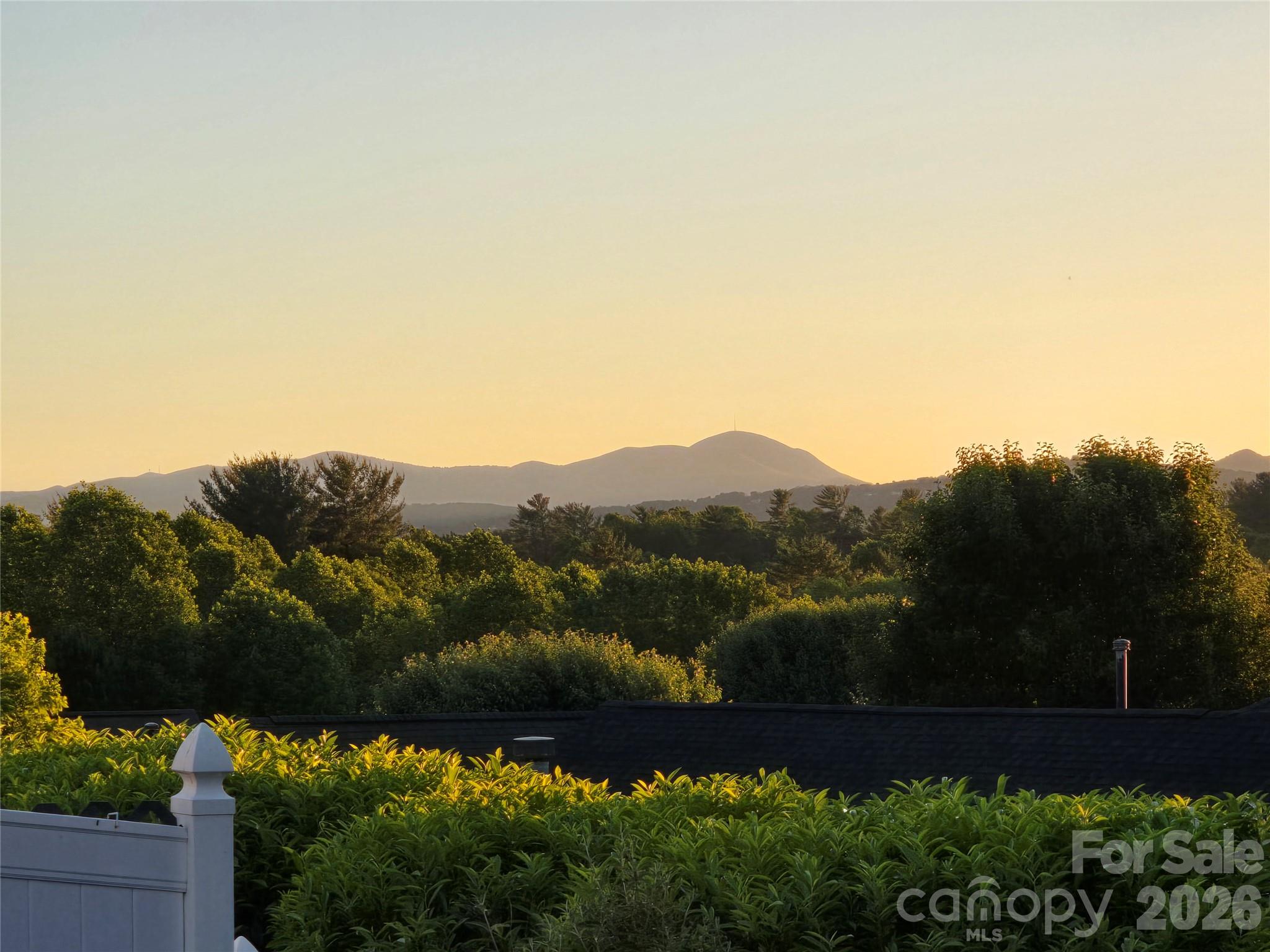 Single Family Residence at 77 Stonehollow Road, Fletcher, photo 11 of 32