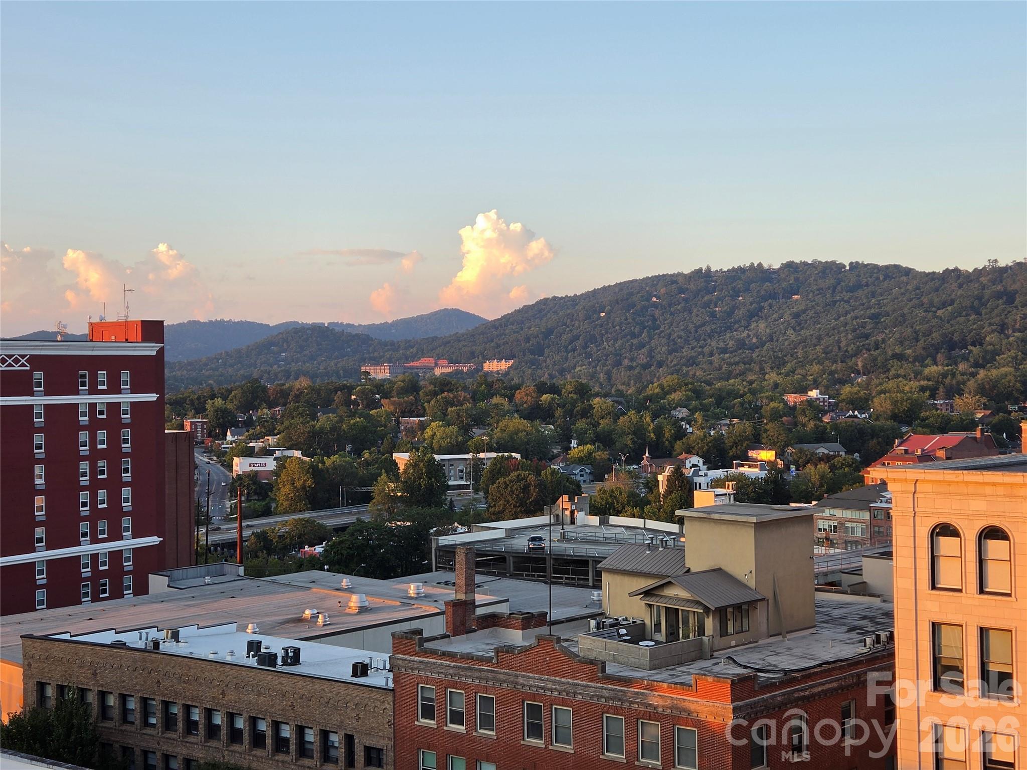 Condominium at 21 Battery Park Avenue, Asheville, photo 35 of 39