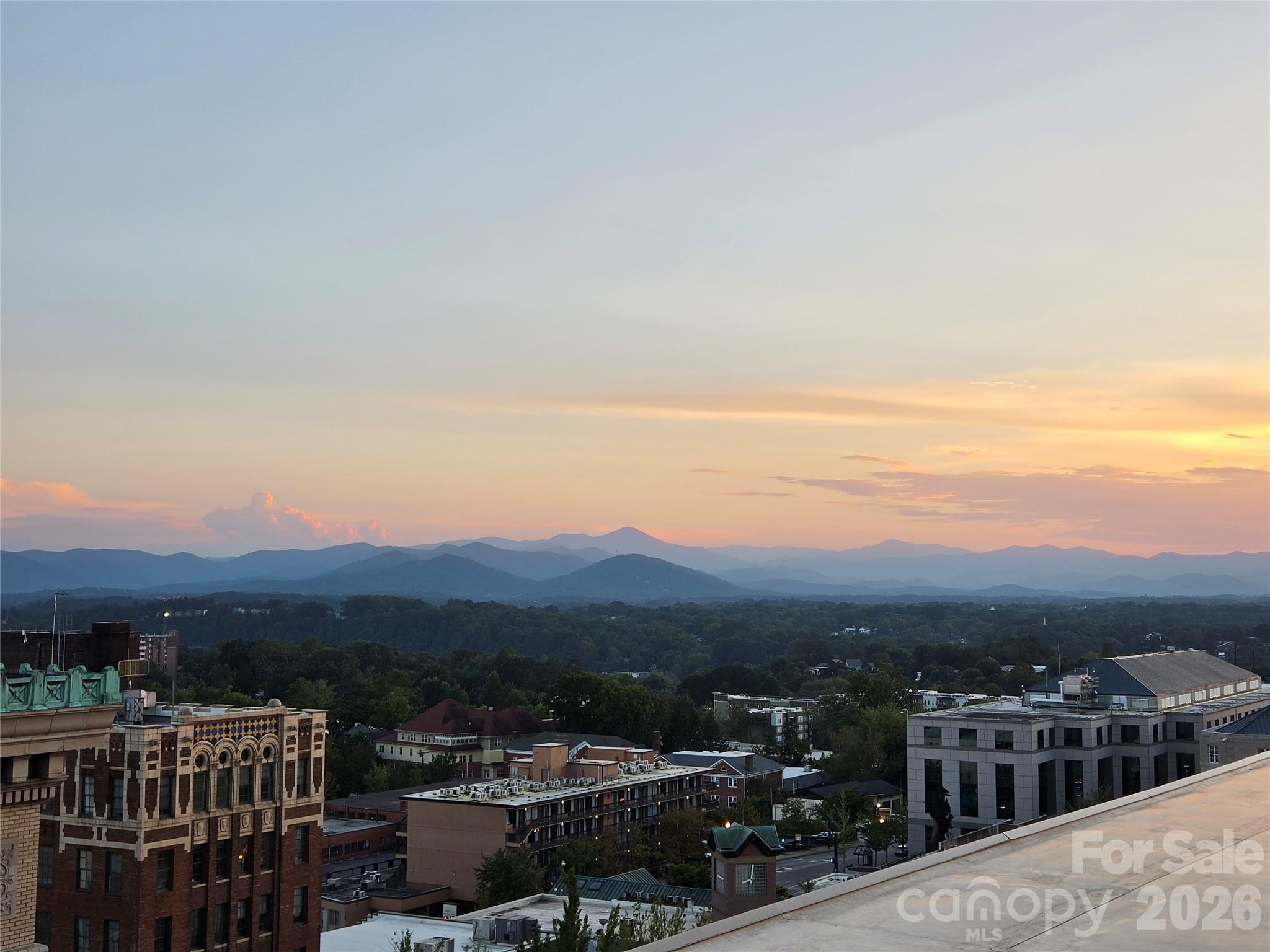 Condominium at 21 Battery Park Avenue, Asheville, photo 37 of 39