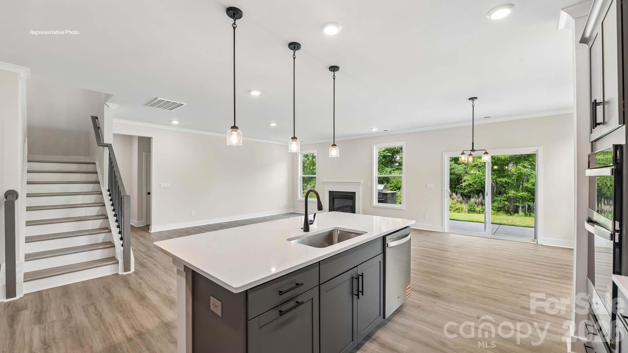 Single Family Residence at 1003 Tundra Swan Drive, Indian Trail, photo 11 of 35