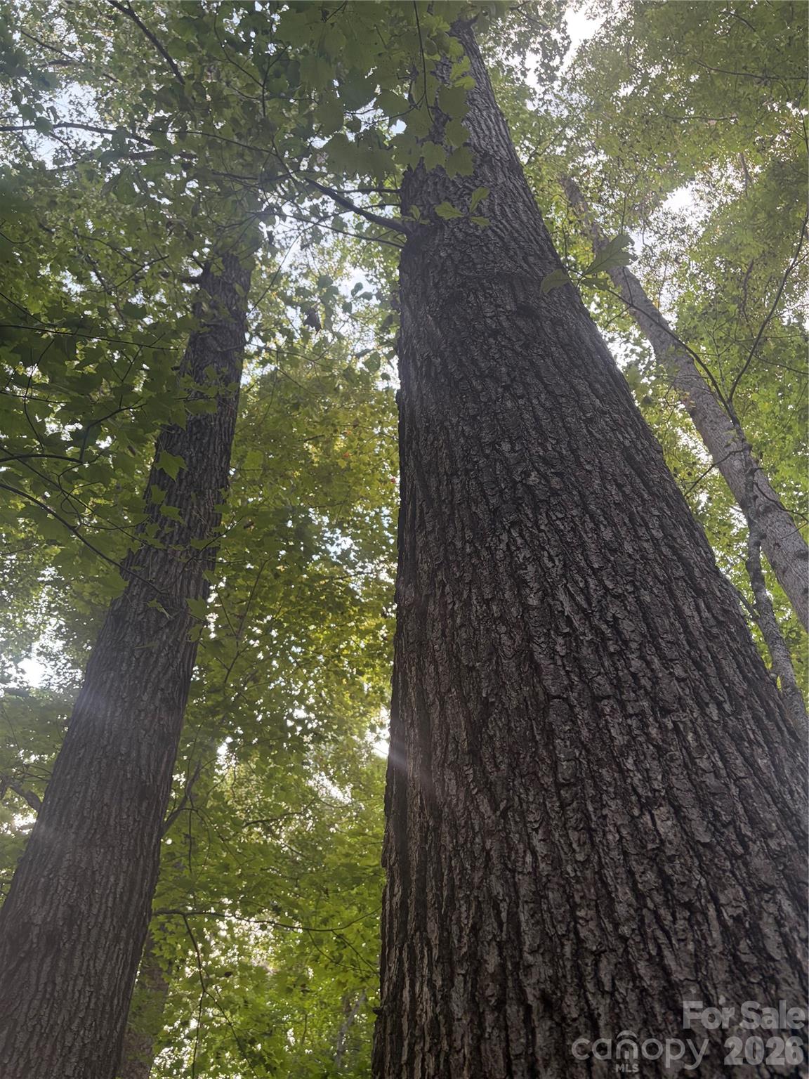 Lot 5 Edgewood Road