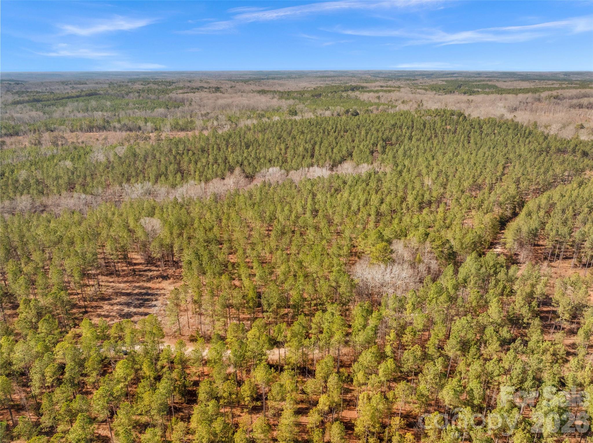 Gorgeous mature pines - 000 Peacehaven Road, McConnells