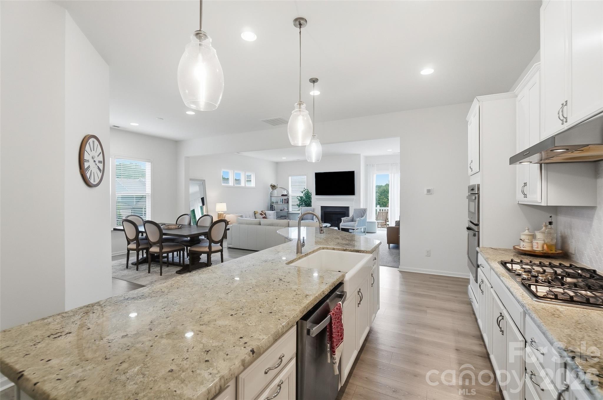 Single Family Residence at 3309 Juneberry Place, Fort Mill, photo 6 of 30