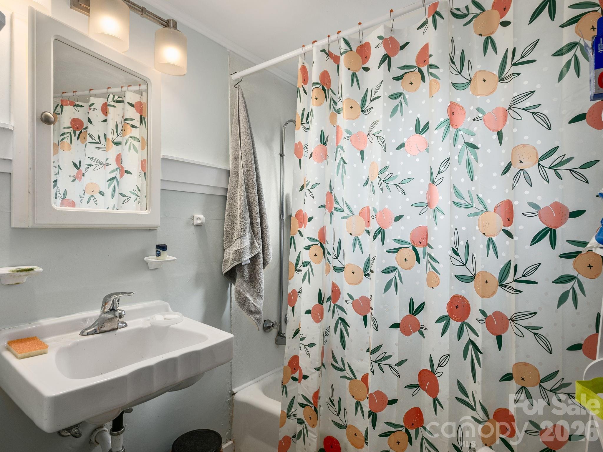 Apartment at 117 & 119 Spears Avenue, Asheville, photo 22 of 39