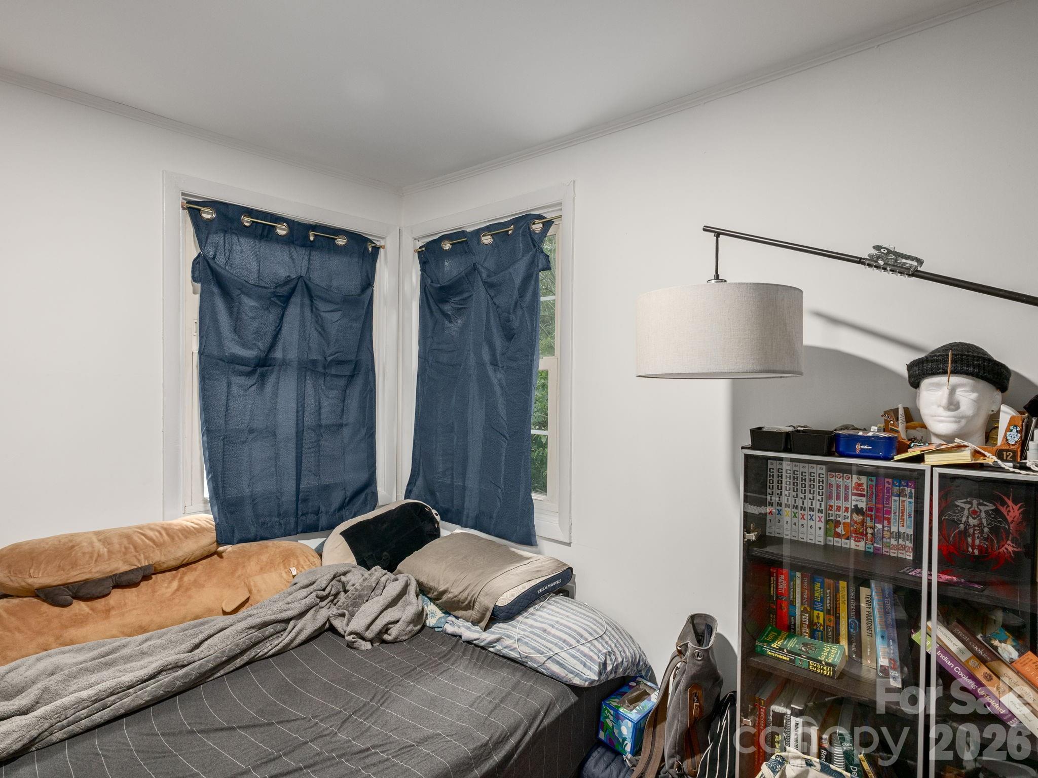 Apartment at 117 & 119 Spears Avenue, Asheville, photo 23 of 39
