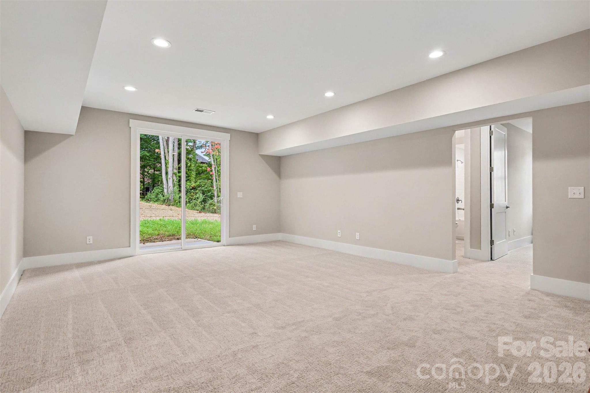 Rec Room Walk-Out - 1407 Jack White Drive, Rock Hill
