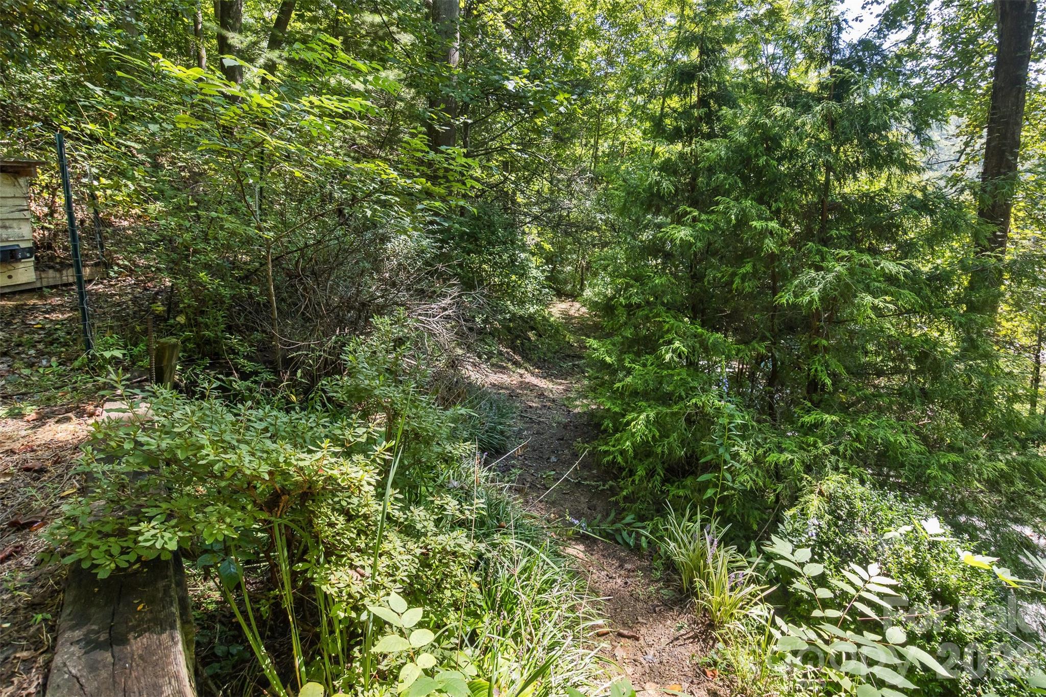 Lush forest, and trails on your 1.36 acres! - 13 Cattail Drive, Sylva