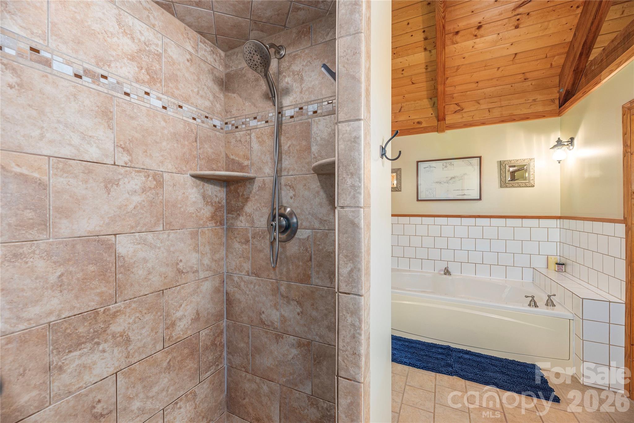 Separate shower and tub - 116 Ivy Road, Mills River