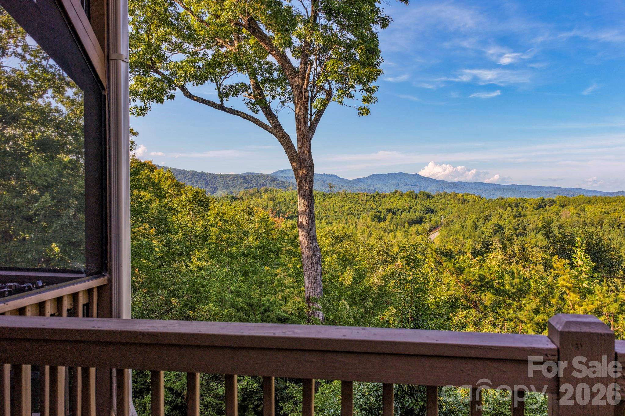 Single Family Residence at 190 Tanglewood Trail, Lake Lure, photo 4 of 40