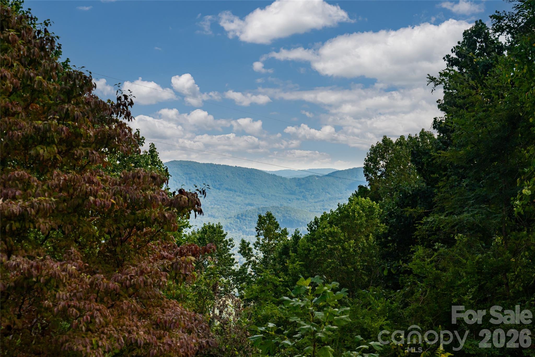 Single Family Residence at 5 Meadow Ridge Drive, Asheville, photo 39 of 48