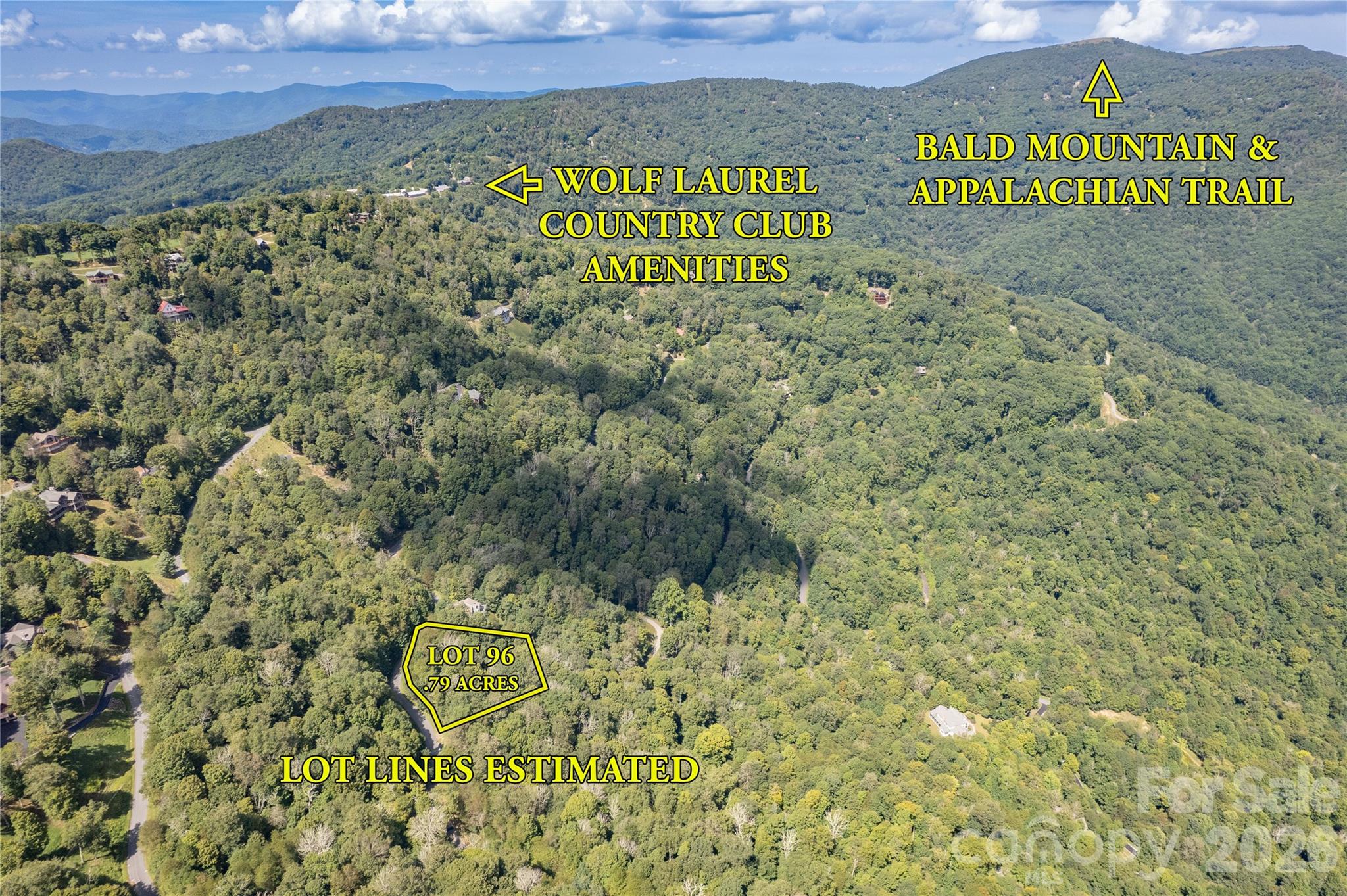 Lot at 96 Goldenleaf Road, Mars Hill, photo 4 of 26