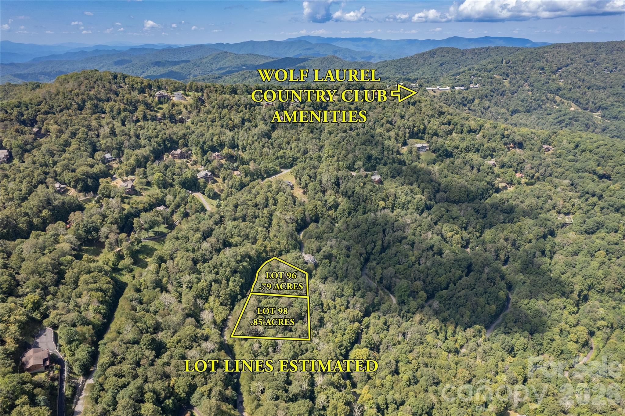 Lot at 96 Goldenleaf Road, Mars Hill, photo 10 of 26