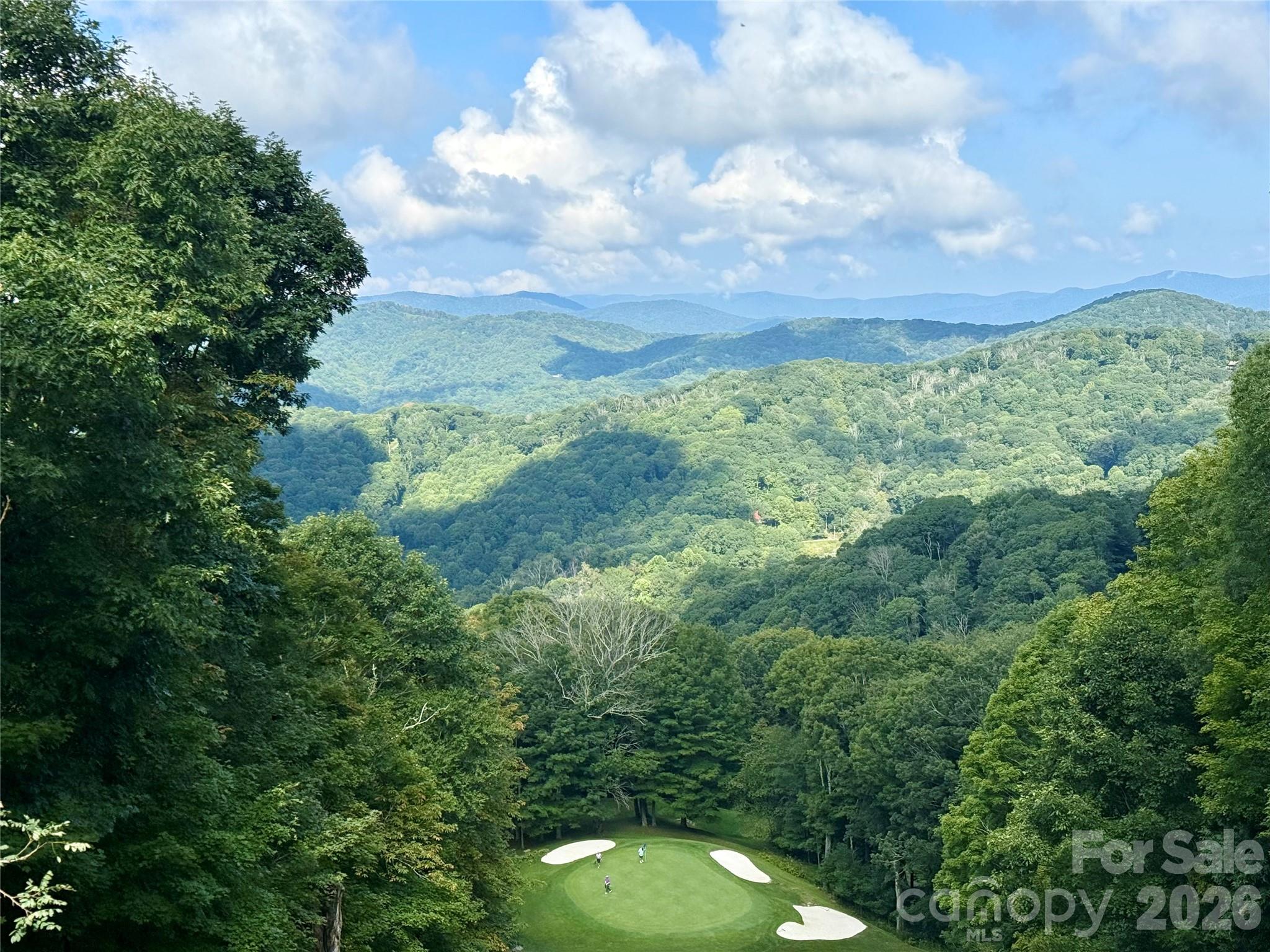 Lot at 96 Goldenleaf Road, Mars Hill, photo 12 of 26