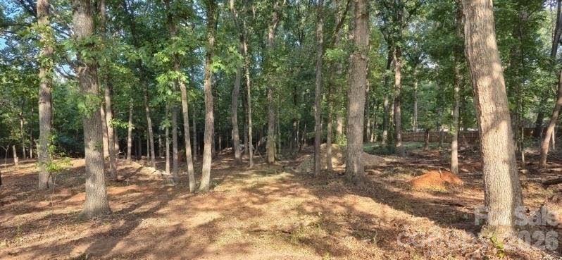 Lot at 0 Telegraph Drive, Gastonia, photo 3 of 8