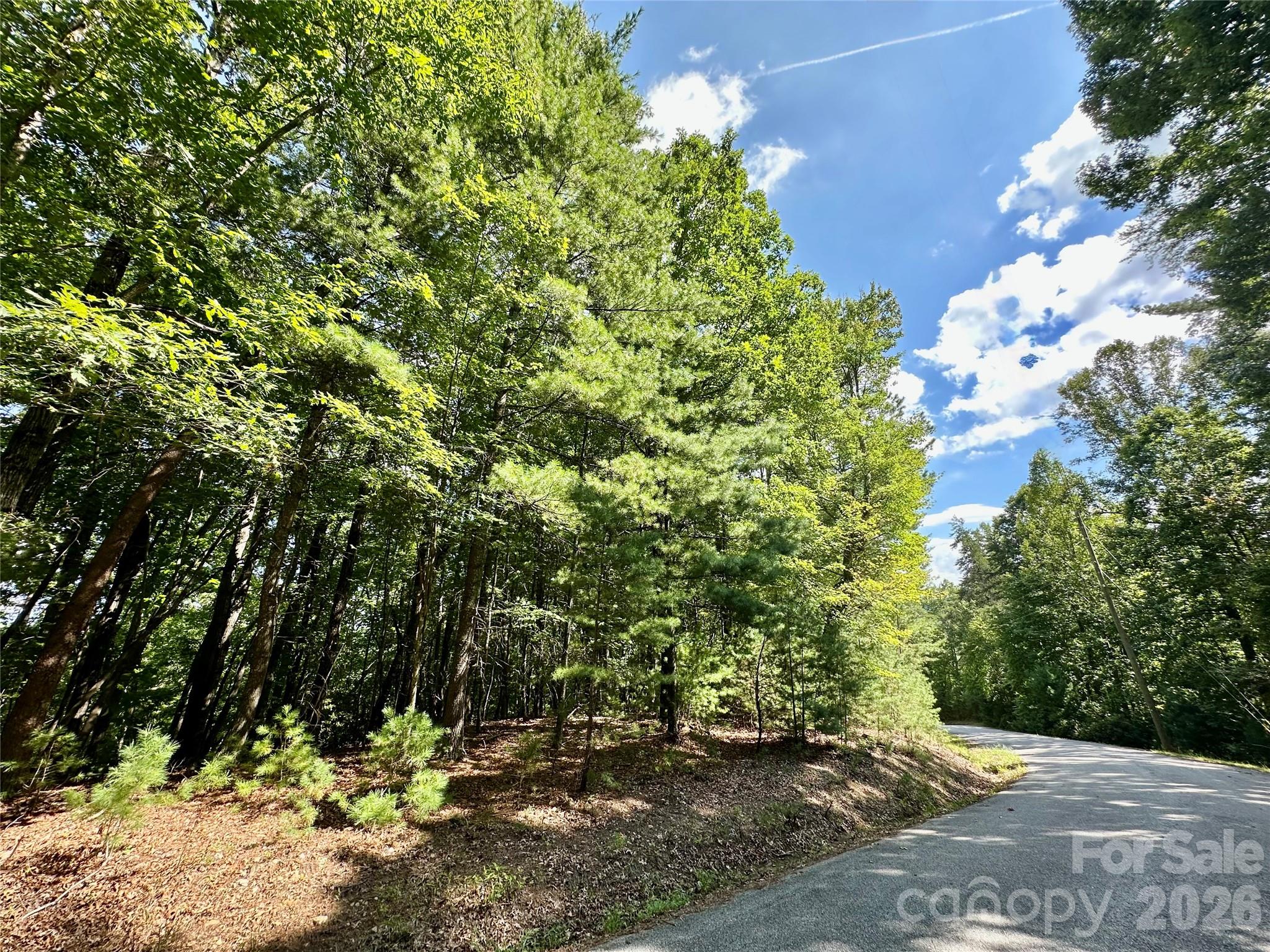 Lot at LOT 2 Sutters Ridge Road, McGrady, photo 3 of 19