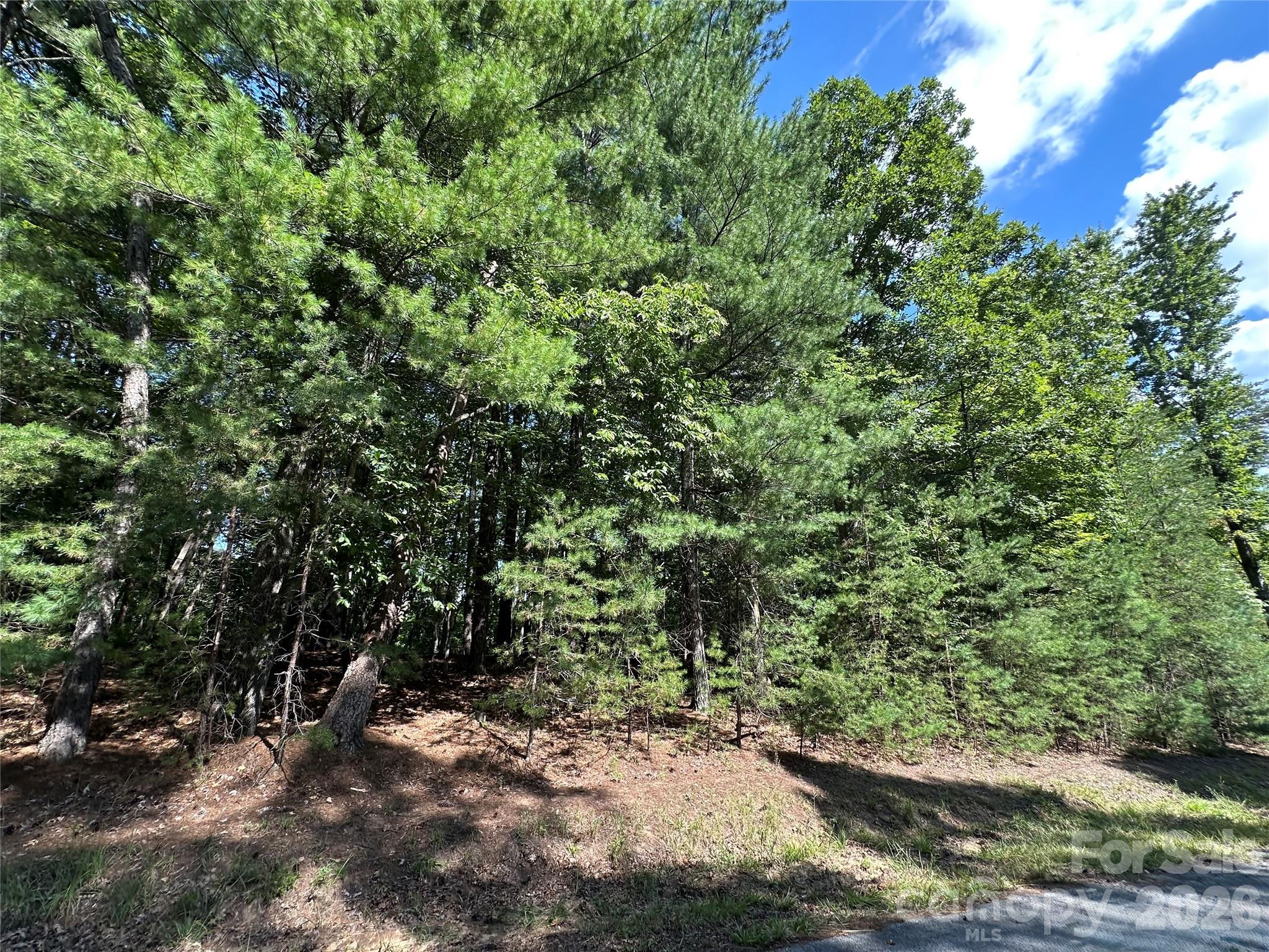 Lot at LOT 2 Sutters Ridge Road, McGrady, photo 4 of 19