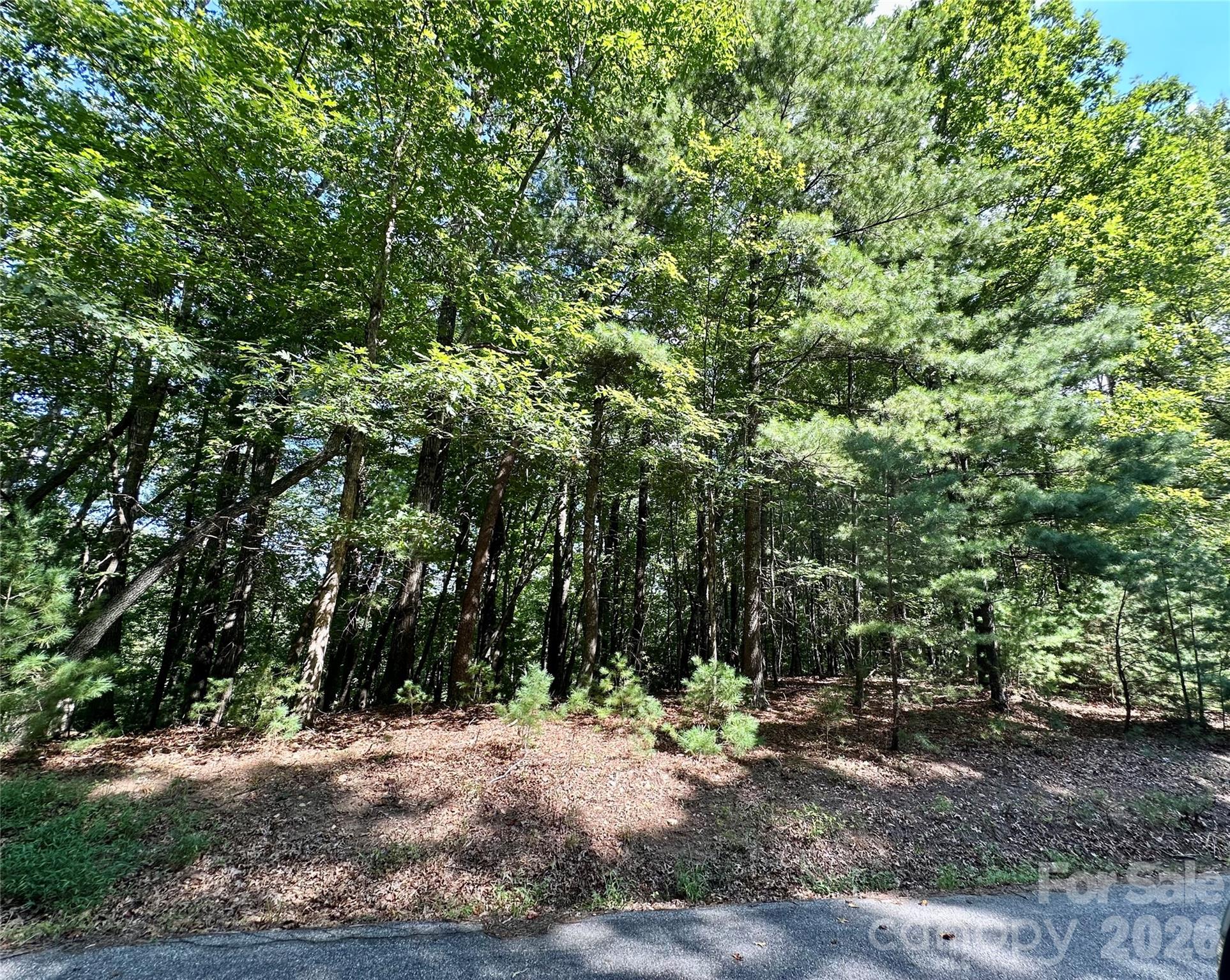 Lot at LOT 2 Sutters Ridge Road, McGrady, photo 5 of 19