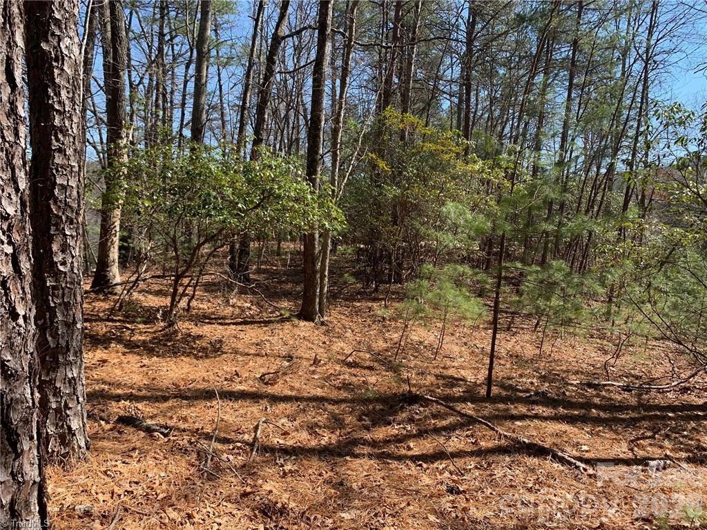 Lot at LOT 2 Sutters Ridge Road, McGrady, photo 6 of 19