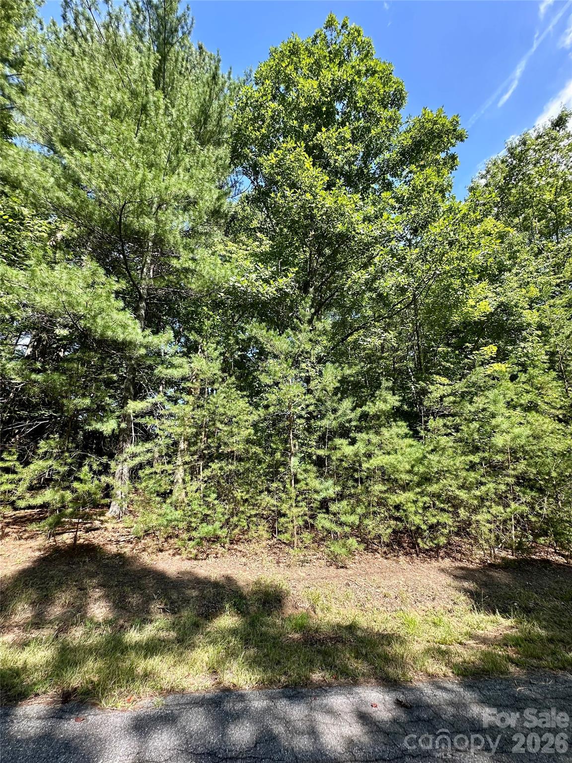 Lot at LOT 2 Sutters Ridge Road, McGrady, photo 7 of 19