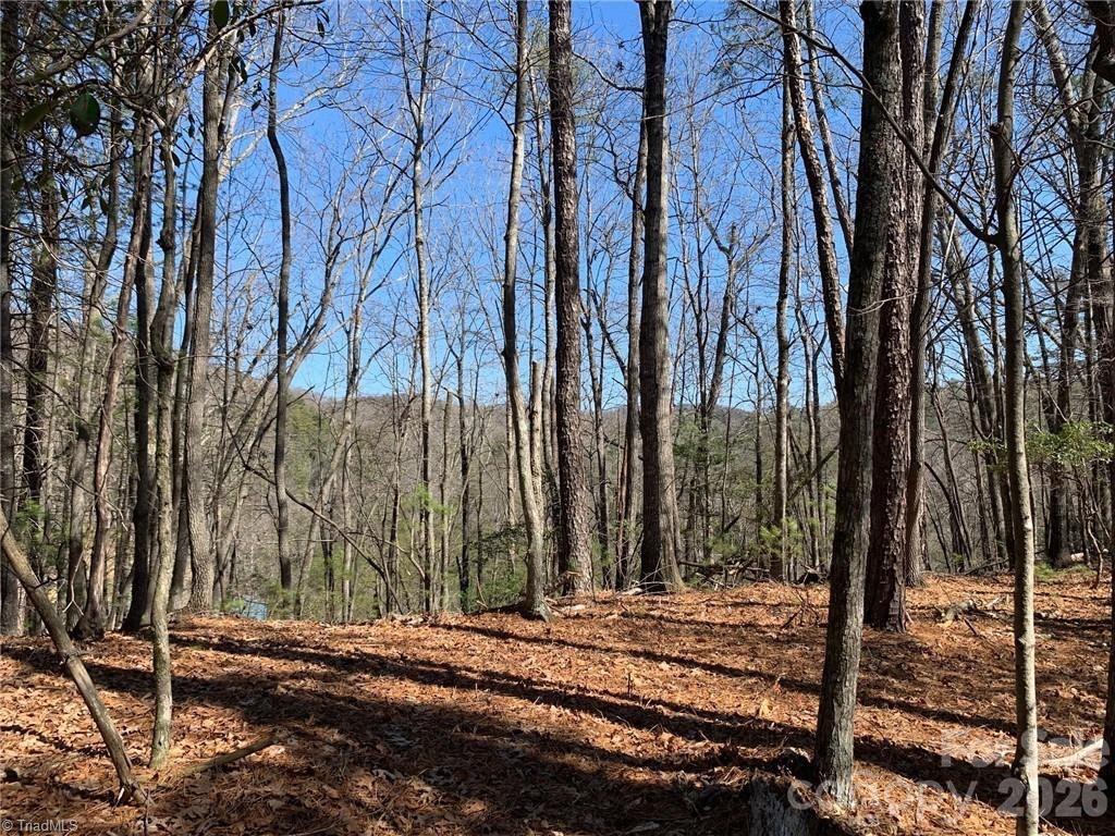 Lot at LOT 2 Sutters Ridge Road, McGrady, photo 8 of 19