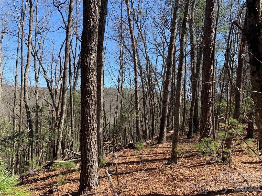 Lot at LOT 2 Sutters Ridge Road, McGrady, photo 9 of 19