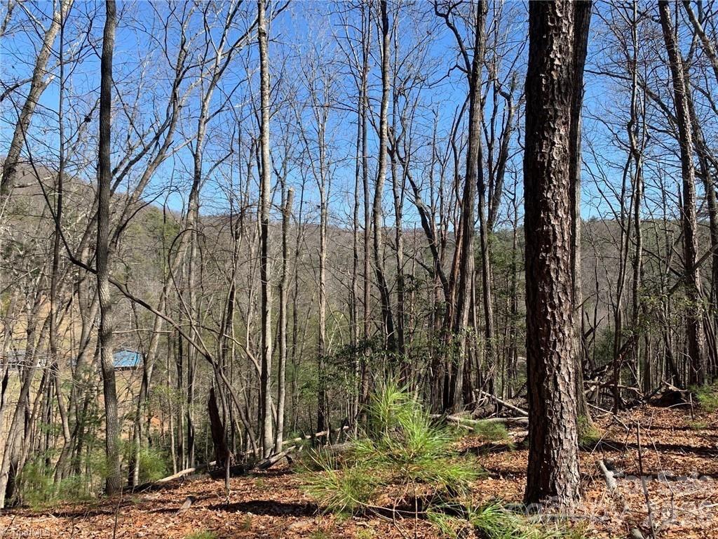 Lot at LOT 2 Sutters Ridge Road, McGrady, photo 10 of 19