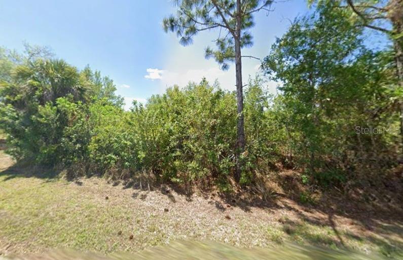 13243 CHIMINIELLO DR