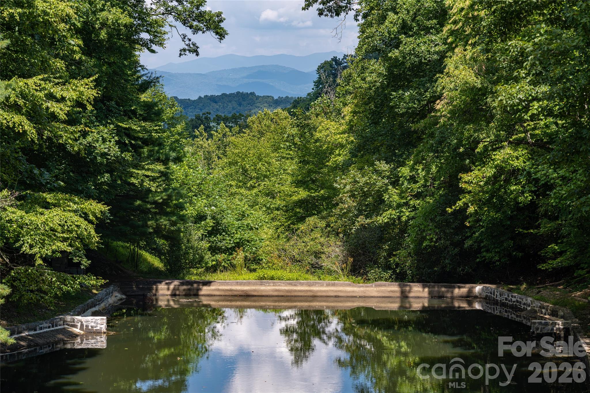 Pond and mountain views - 3999 Laurel Park Highway, Hendersonville