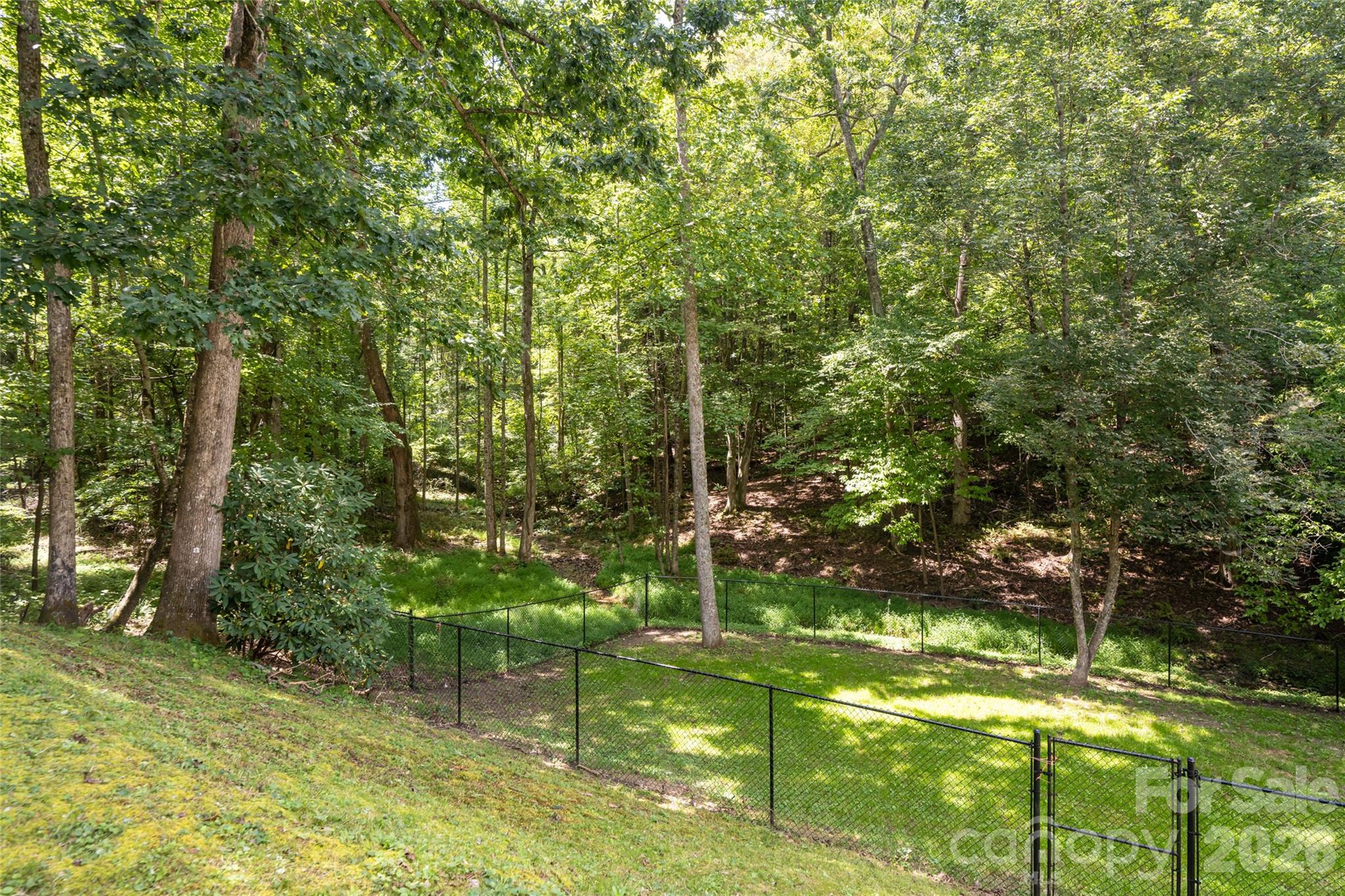 Fenced side yard - 3999 Laurel Park Highway, Hendersonville