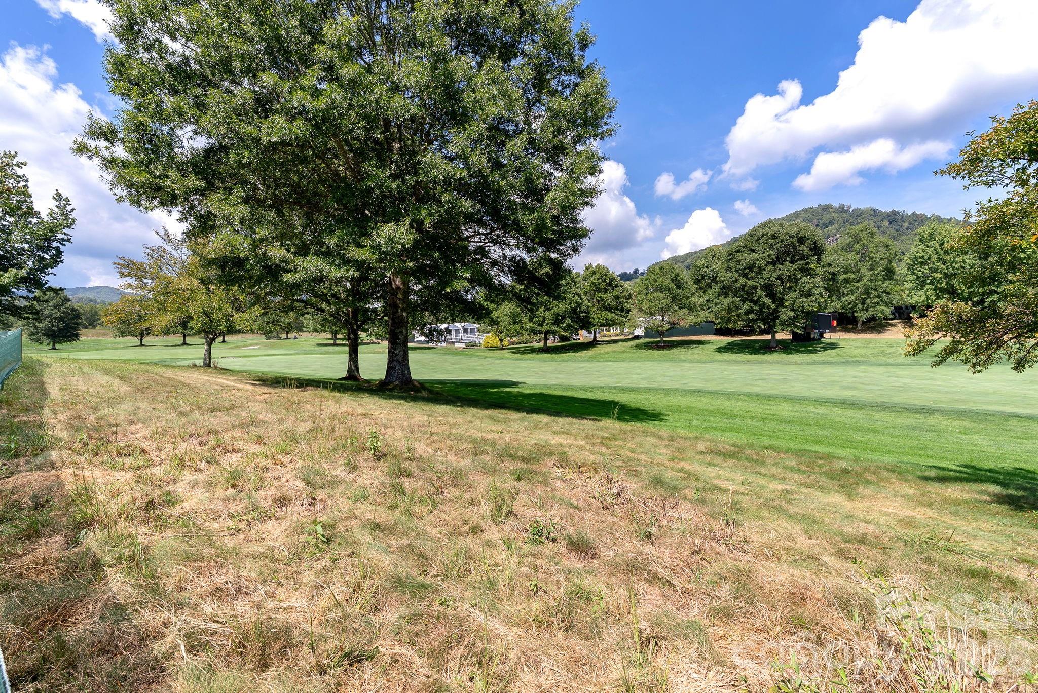 Lot at 74 Walnut Valley Parkway, Arden, photo 3 of 20