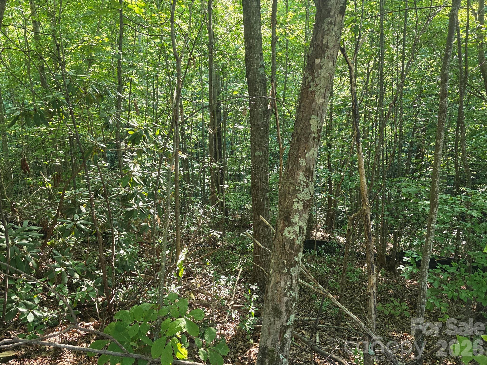 Lot at Lot 149 Big View Drive, Marion, photo 9 of 14