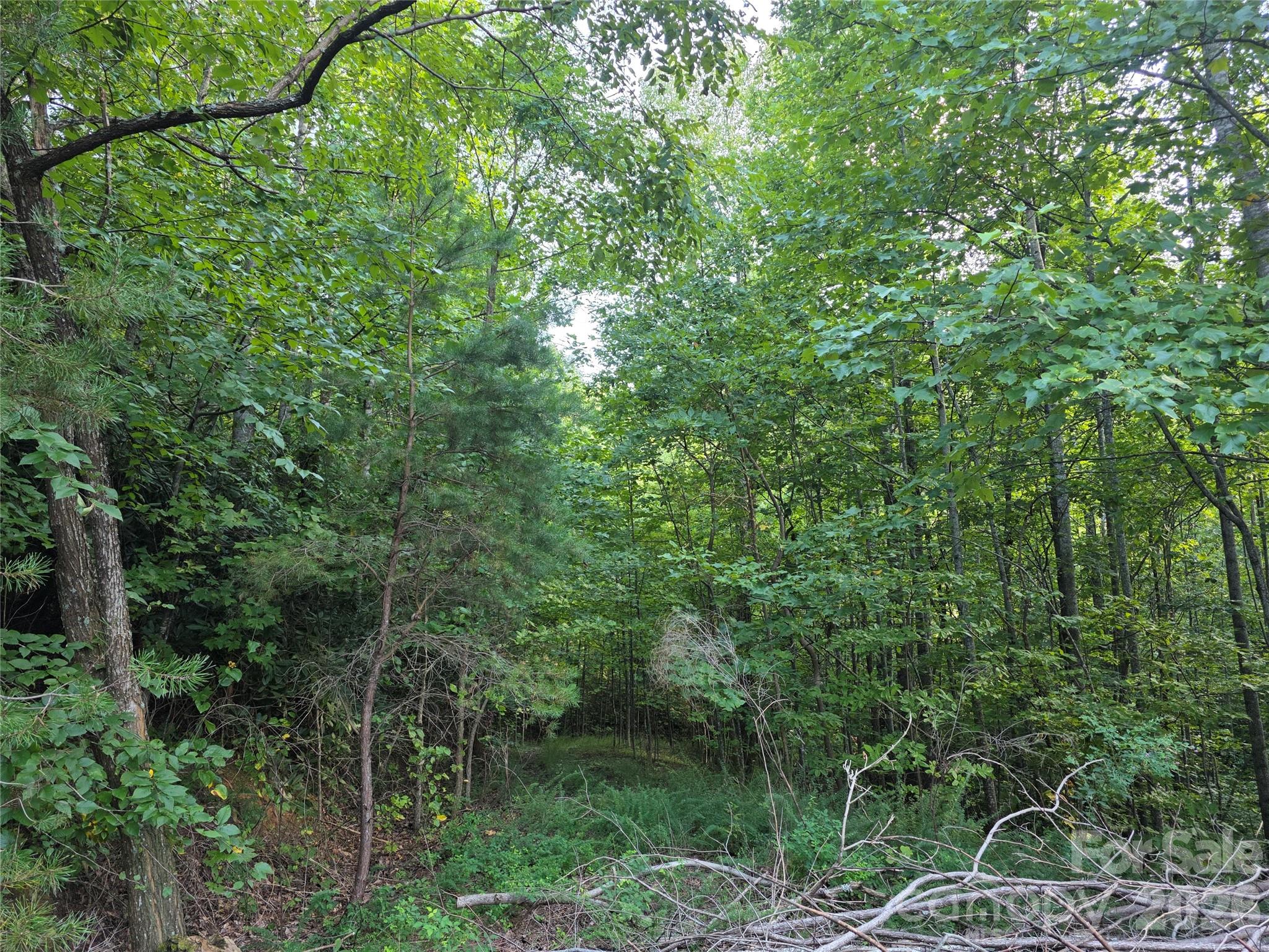 Lot at Lot 149 Big View Drive, Marion, photo 10 of 14